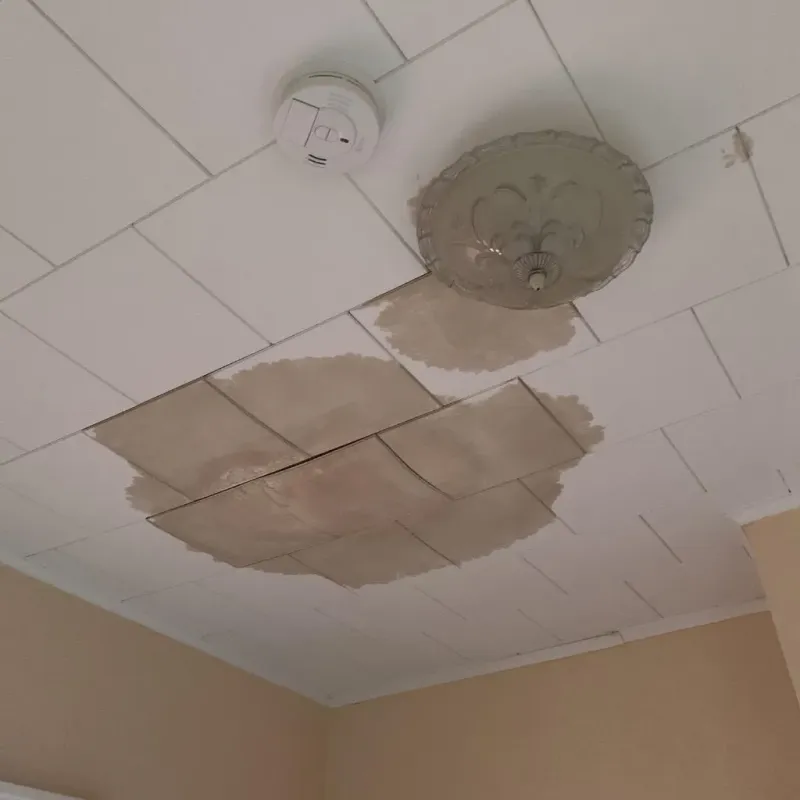 Ceiling Water Damage Repair in Conway, NH