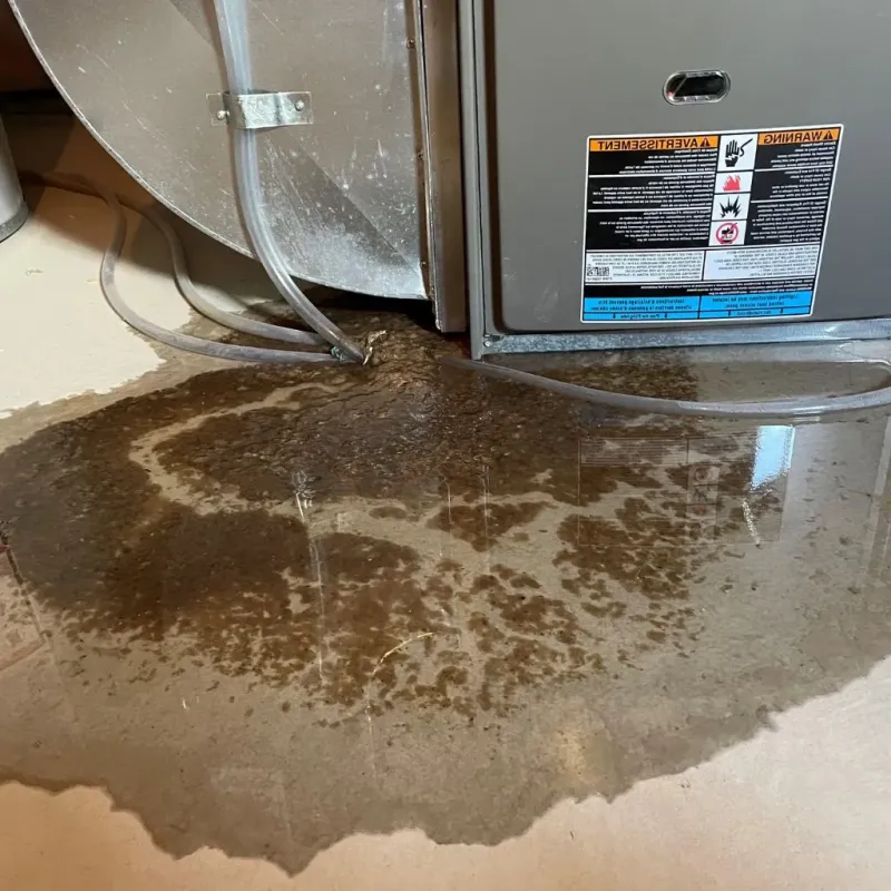 Pipe Burst and Leak Restoration in Conway, NH